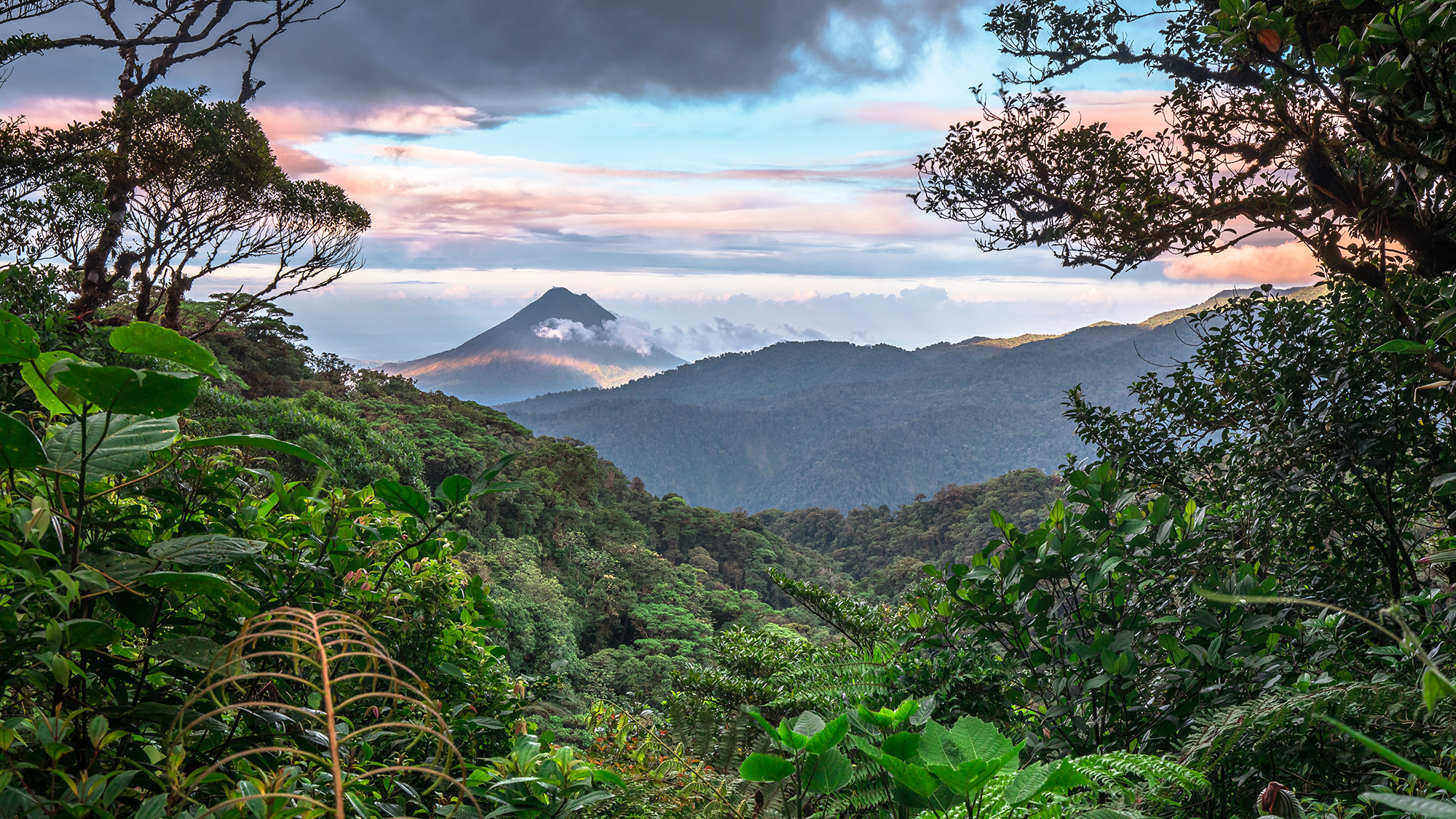 CAVALE au Costa Rica | Détails à venir
